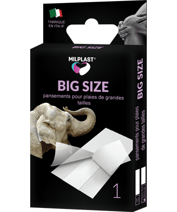 BIG SIZE