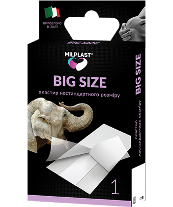 BIG SIZE